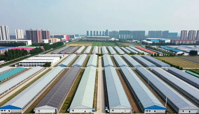 品牌在供求信息平台中的关键作用与实际应用